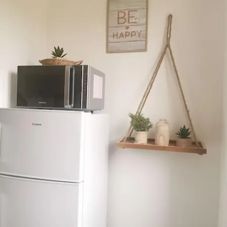 Апартаменты Le Bohemien *studio 30m²*wifi*parking Prive*calme Лурд